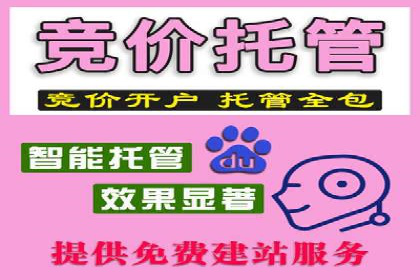 SEM开户全流程解析：成功案例分享