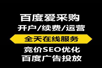 专业SEM托管助力企业快速成长案例分析